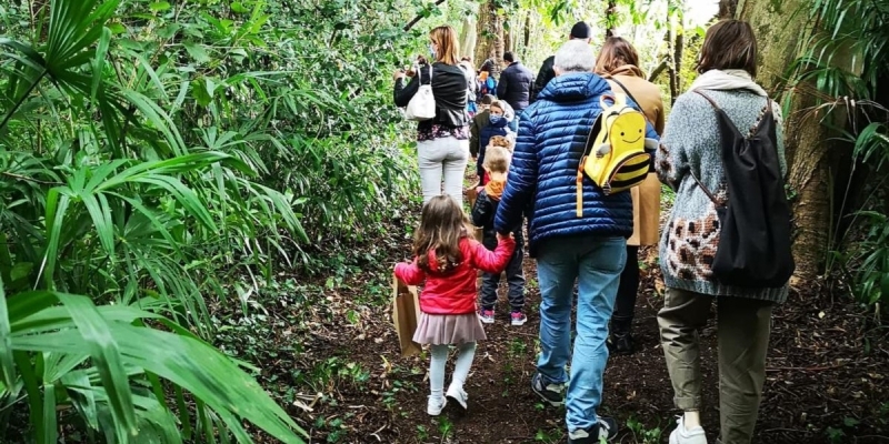 Piccoli Esploratori, Grandi Alberi