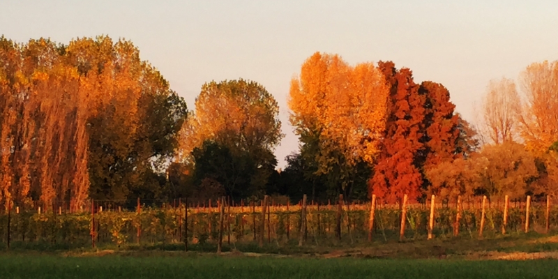 Giornata Nazionale dell'Agricoltura